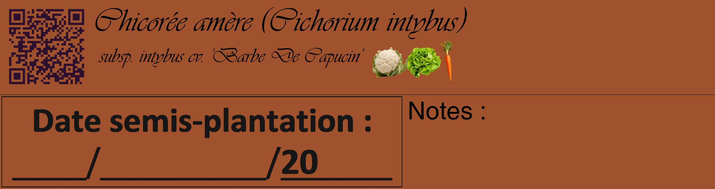 Étiquette de : Cichorium intybus subsp. intybus cv. 'Barbe De Capucin' - format c - style noire32_basique_basiqueviv avec qrcode et comestibilité simplifiée