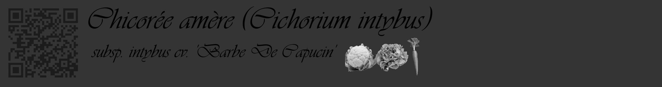 Étiquette de : Cichorium intybus subsp. intybus cv. 'Barbe De Capucin' - format c - style noire46_basique_basiqueviv avec qrcode et comestibilité simplifiée