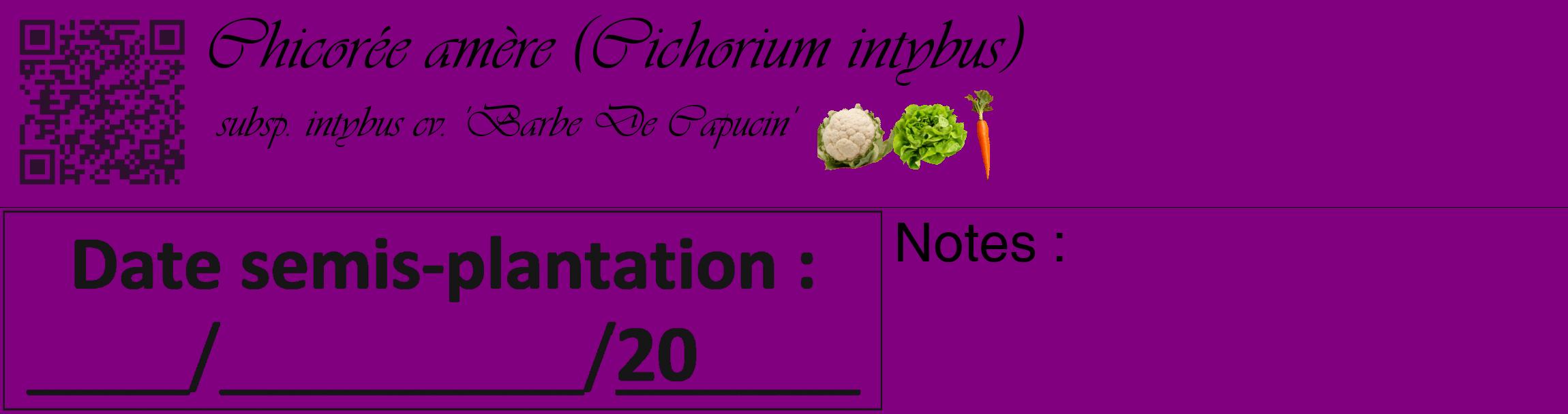 Étiquette de : Cichorium intybus subsp. intybus cv. 'Barbe De Capucin' - format c - style noire46_basique_basiqueviv avec qrcode et comestibilité simplifiée