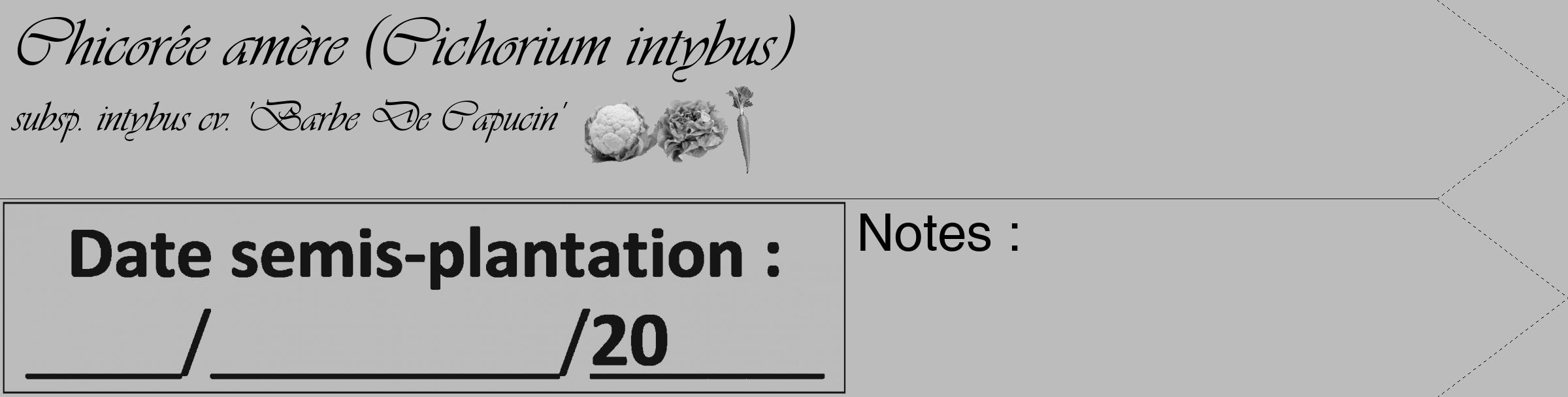Étiquette de : Cichorium intybus subsp. intybus cv. 'Barbe De Capucin' - format c - style noire1_simple_simpleviv avec comestibilité simplifiée