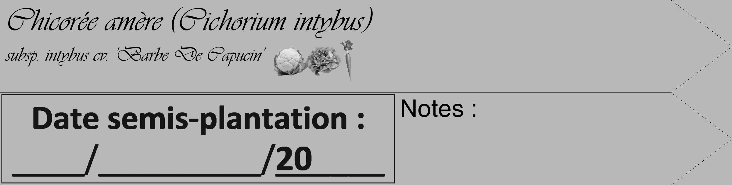 Étiquette de : Cichorium intybus subsp. intybus cv. 'Barbe De Capucin' - format c - style noire39_simple_simpleviv avec comestibilité simplifiée