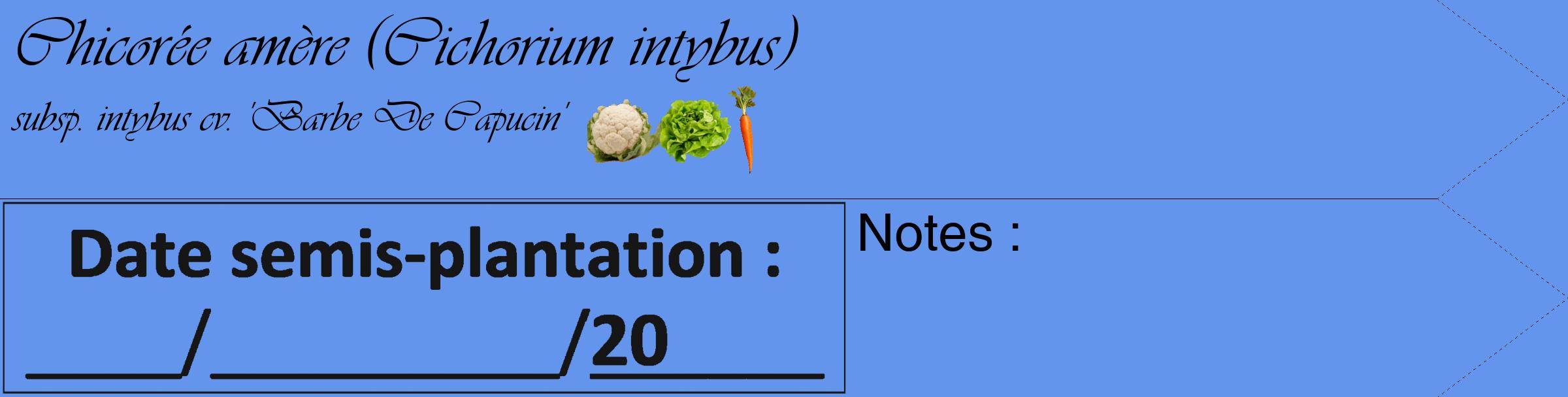 Étiquette de : Cichorium intybus subsp. intybus cv. 'Barbe De Capucin' - format c - style noire4_simple_simpleviv avec comestibilité simplifiée