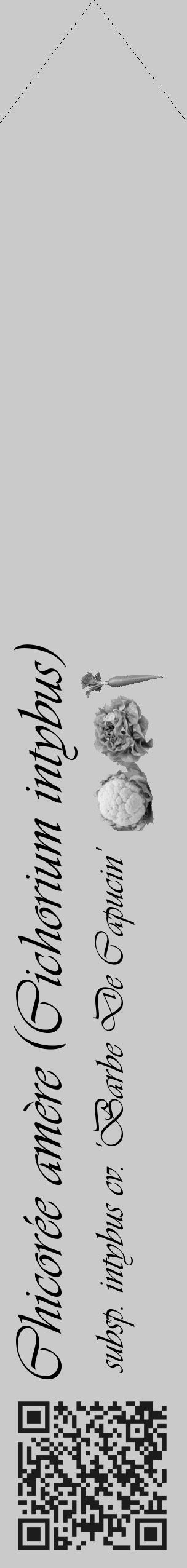 Étiquette de : Cichorium intybus subsp. intybus cv. 'Barbe De Capucin' - format c - style noire21simple_basique_basiqueviv avec qrcode et comestibilité simplifiée - position verticale
