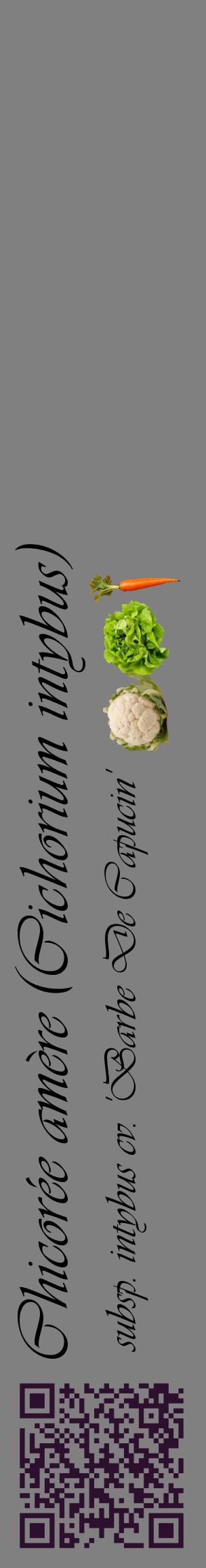 Étiquette de : Cichorium intybus subsp. intybus cv. 'Barbe De Capucin' - format c - style noire57_basiqueviv avec qrcode et comestibilité simplifiée