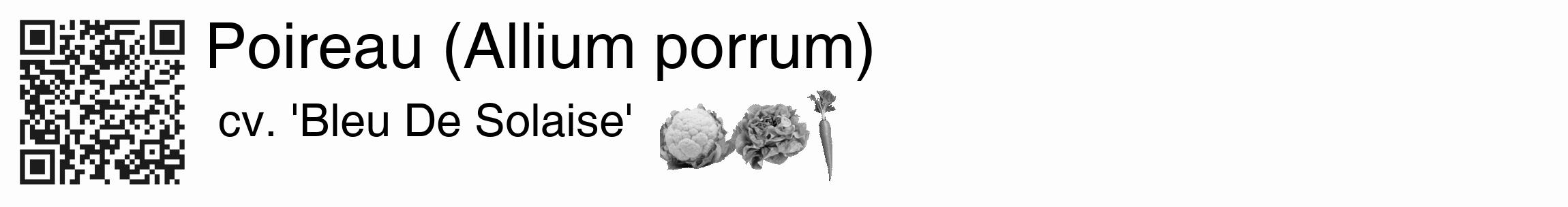 Étiquette de : Allium porrum cv. 'Bleu De Solaise' - format c - style noire19basique_basique_basiquehel avec qrcode et comestibilité simplifiée