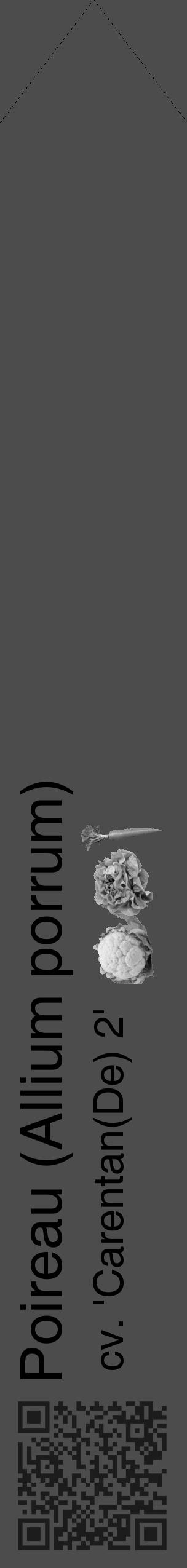 Étiquette de : Allium porrum cv. 'Carentan(De) 2' - format c - style noire27_simple_simplehel avec qrcode et comestibilité simplifiée - position verticale