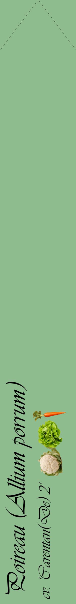 Étiquette de : Allium porrum cv. 'Carentan(De) 2' - format c - style noire13_simpleviv avec comestibilité simplifiée