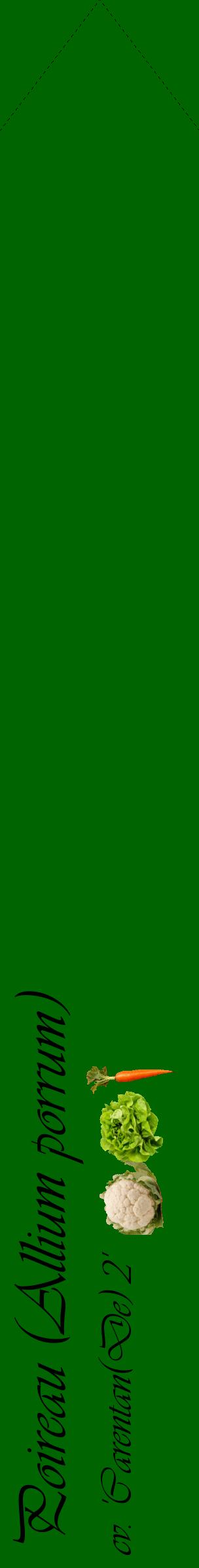 Étiquette de : Allium porrum cv. 'Carentan(De) 2' - format c - style noire8_simpleviv avec comestibilité simplifiée