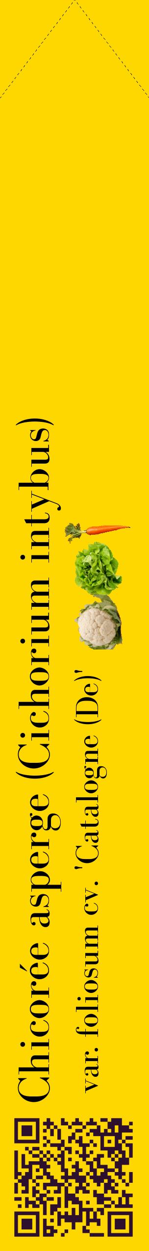 Étiquette de : Cichorium intybus var. foliosum cv. 'Catalogne (De)' - format c - style noire21_simplebod avec qrcode et comestibilité simplifiée