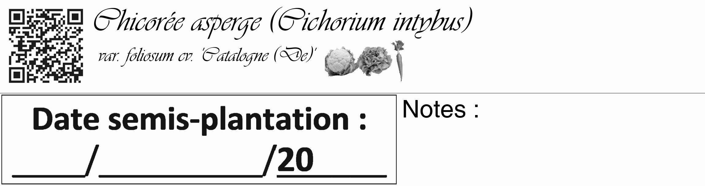 Étiquette de : Cichorium intybus var. foliosum cv. 'Catalogne (De)' - format c - style noire19basique_basique_basiqueviv avec qrcode et comestibilité simplifiée