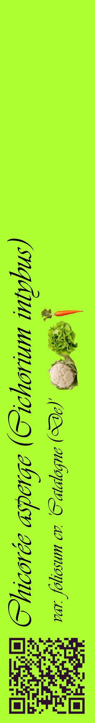 Étiquette de : Cichorium intybus var. foliosum cv. 'Catalogne (De)' - format c - style noire17_basiqueviv avec qrcode et comestibilité simplifiée