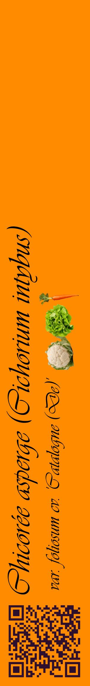 Étiquette de : Cichorium intybus var. foliosum cv. 'Catalogne (De)' - format c - style noire23_basiqueviv avec qrcode et comestibilité simplifiée