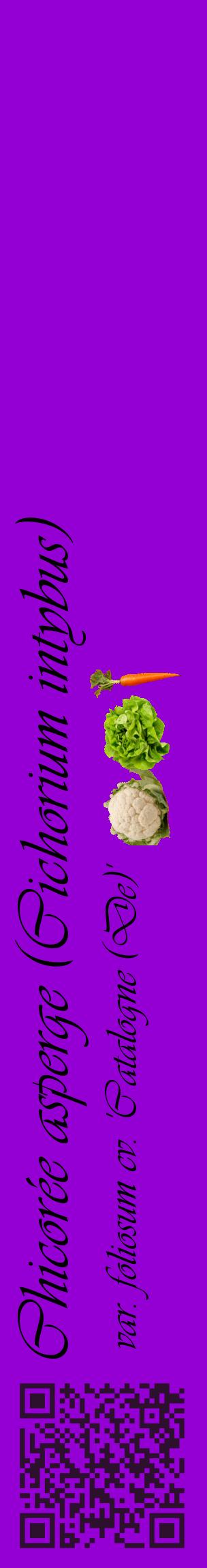 Étiquette de : Cichorium intybus var. foliosum cv. 'Catalogne (De)' - format c - style noire48_basiqueviv avec qrcode et comestibilité simplifiée