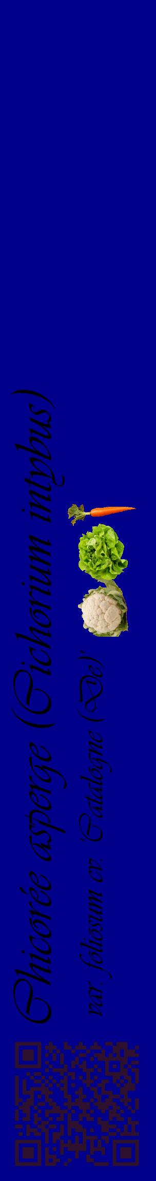 Étiquette de : Cichorium intybus var. foliosum cv. 'Catalogne (De)' - format c - style noire7_basiqueviv avec qrcode et comestibilité simplifiée