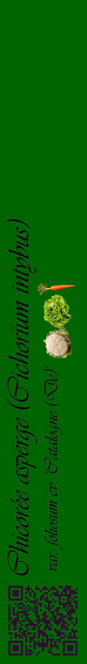 Étiquette de : Cichorium intybus var. foliosum cv. 'Catalogne (De)' - format c - style noire8_basiqueviv avec qrcode et comestibilité simplifiée