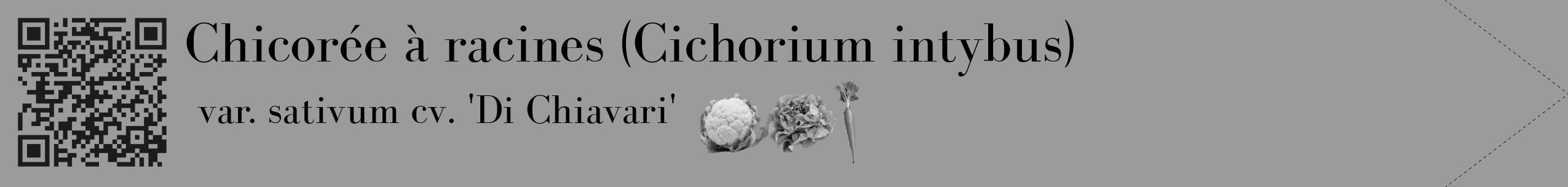 Étiquette de : Cichorium intybus var. sativum cv. 'Di Chiavari' - format c - style noire52_simple_simplebod avec qrcode et comestibilité simplifiée