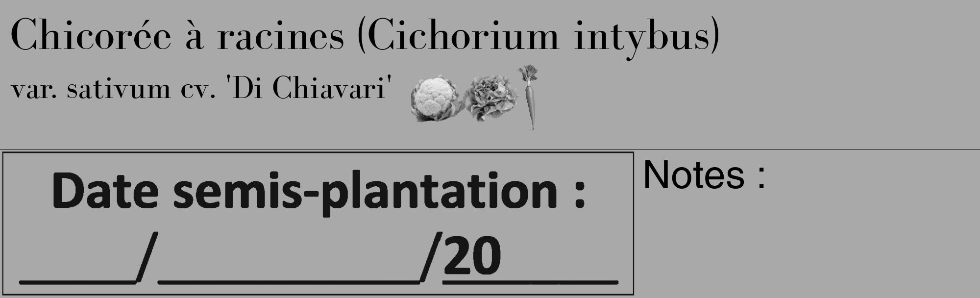 Étiquette de : Cichorium intybus var. sativum cv. 'Di Chiavari' - format c - style noire13_basique_basiquebod avec comestibilité simplifiée