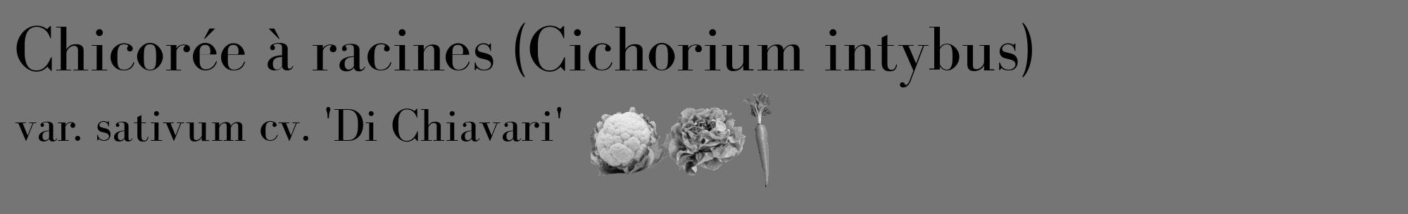 Étiquette de : Cichorium intybus var. sativum cv. 'Di Chiavari' - format c - style noire5_basique_basiquebod avec comestibilité simplifiée