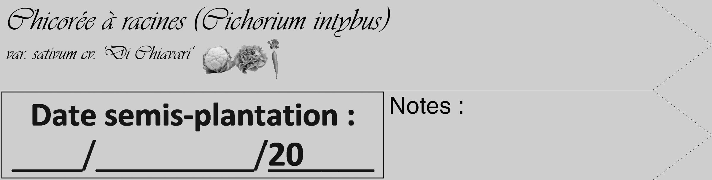 Étiquette de : Cichorium intybus var. sativum cv. 'Di Chiavari' - format c - style noire17_simple_simpleviv avec comestibilité simplifiée