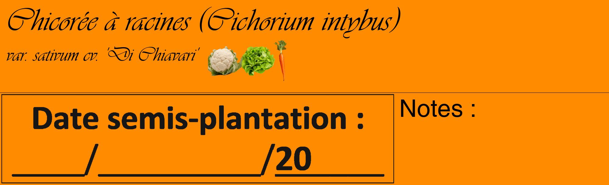 Étiquette de : Cichorium intybus var. sativum cv. 'Di Chiavari' - format c - style noire23_basique_basiqueviv avec comestibilité simplifiée