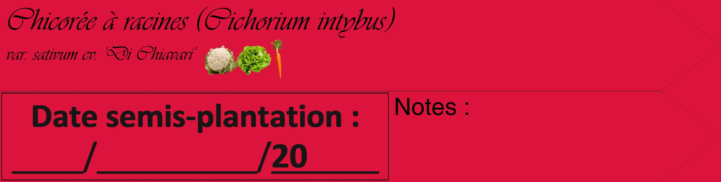 Étiquette de : Cichorium intybus var. sativum cv. 'Di Chiavari' - format c - style noire36_simple_simpleviv avec comestibilité simplifiée