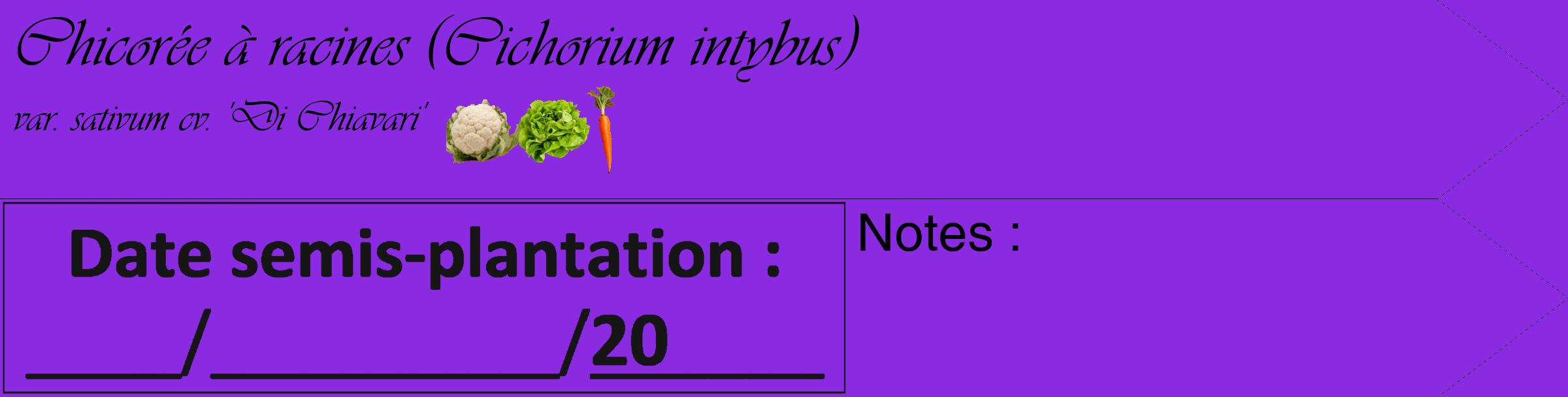 Étiquette de : Cichorium intybus var. sativum cv. 'Di Chiavari' - format c - style noire49_simple_simpleviv avec comestibilité simplifiée