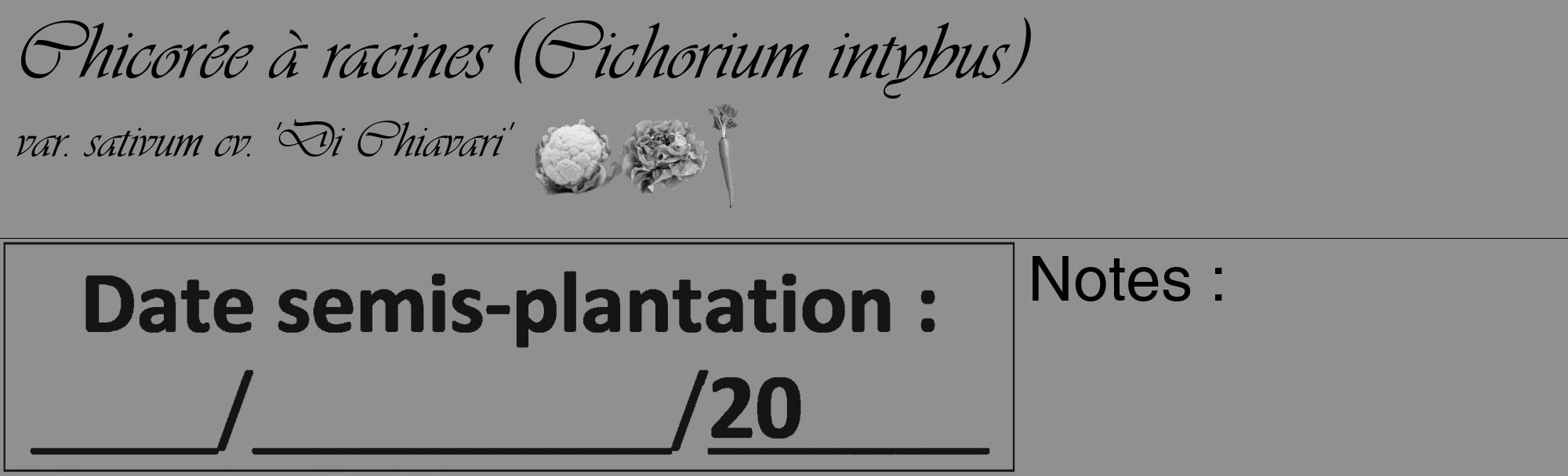 Étiquette de : Cichorium intybus var. sativum cv. 'Di Chiavari' - format c - style noire4_basique_basiqueviv avec comestibilité simplifiée