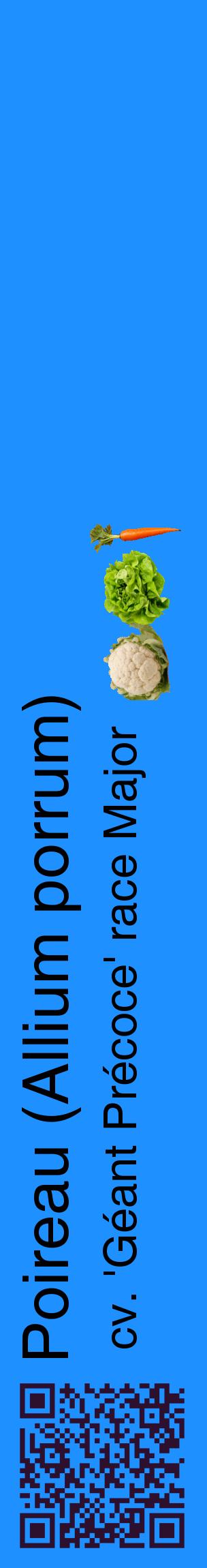 Étiquette de : Allium porrum cv. 'Géant Précoce' race Major - format c - style noire3_basiquehel avec qrcode et comestibilité simplifiée
