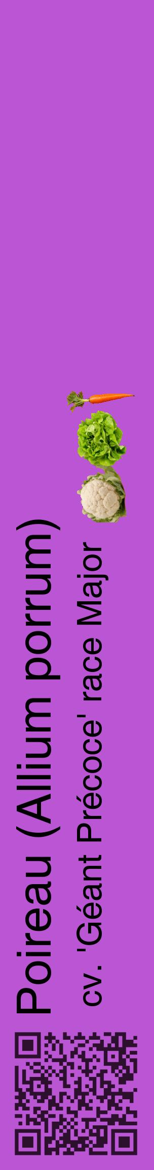 Étiquette de : Allium porrum cv. 'Géant Précoce' race Major - format c - style noire50_basiquehel avec qrcode et comestibilité simplifiée