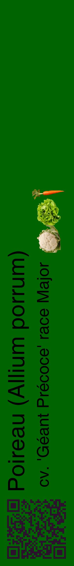 Étiquette de : Allium porrum cv. 'Géant Précoce' race Major - format c - style noire8_basiquehel avec qrcode et comestibilité simplifiée