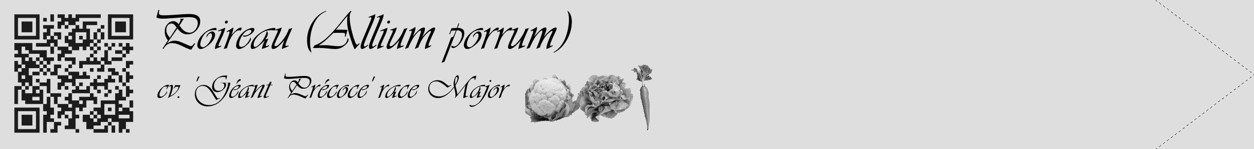Étiquette de : Allium porrum cv. 'Géant Précoce' race Major - format c - style noire20simple_basique_basiqueviv avec qrcode et comestibilité simplifiée