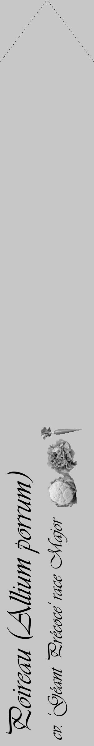 Étiquette de : Allium porrum cv. 'Géant Précoce' race Major - format c - style noire15_simple_simpleviv avec comestibilité simplifiée - position verticale