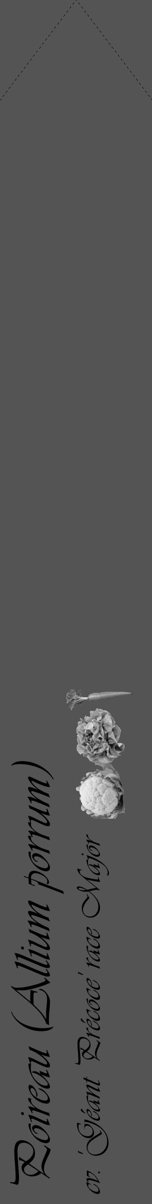Étiquette de : Allium porrum cv. 'Géant Précoce' race Major - format c - style noire30_simple_simpleviv avec comestibilité simplifiée - position verticale