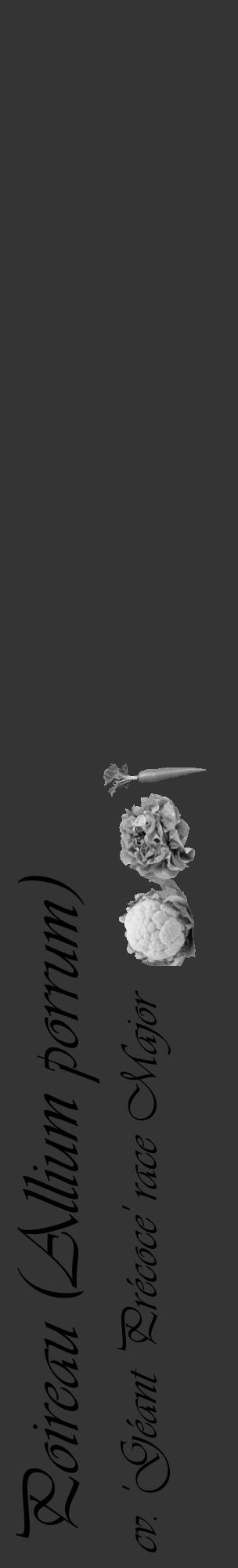 Étiquette de : Allium porrum cv. 'Géant Précoce' race Major - format c - style noire46basique_basique_basiqueviv avec comestibilité simplifiée - position verticale