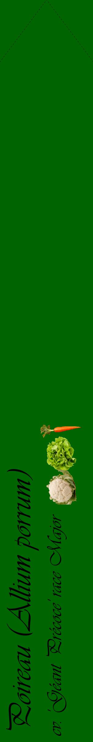 Étiquette de : Allium porrum cv. 'Géant Précoce' race Major - format c - style noire8_simpleviv avec comestibilité simplifiée