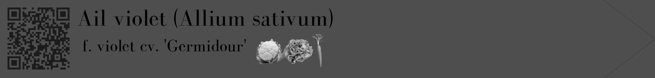 Étiquette de : Allium sativum f. violet cv. 'Germidour' - format c - style noire33_simple_simplebod avec qrcode et comestibilité simplifiée