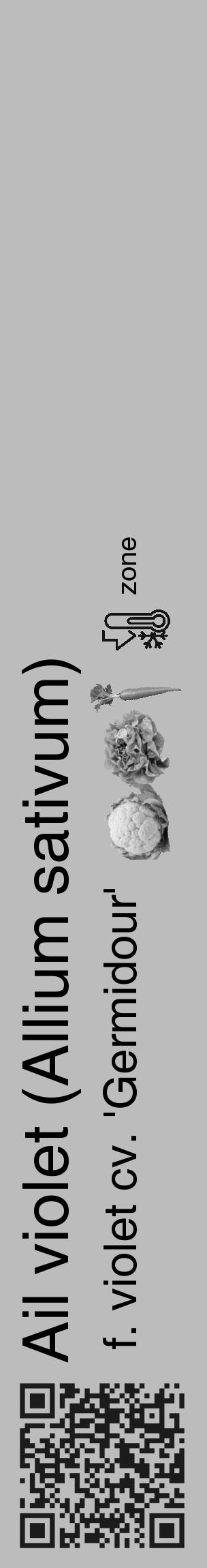 Étiquette de : Allium sativum f. violet cv. 'Germidour' - format c - style noire1_basique_basiquehel avec qrcode et comestibilité simplifiée - position verticale