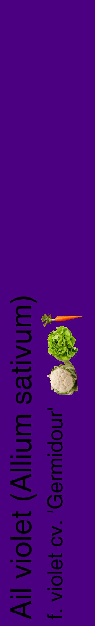 Étiquette de : Allium sativum f. violet cv. 'Germidour' - format c - style noire47_basiquehel avec comestibilité simplifiée