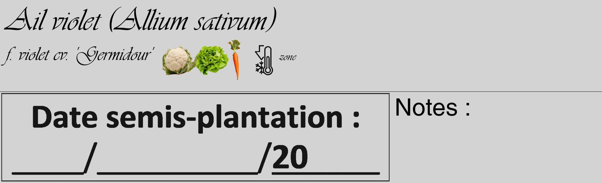 Étiquette de : Allium sativum f. violet cv. 'Germidour' - format c - style noire56_basique_basiqueviv avec comestibilité simplifiée