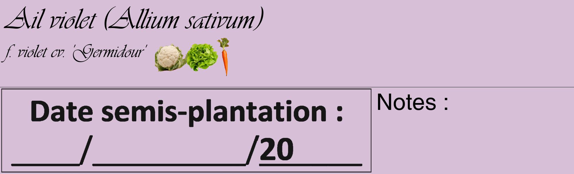 Étiquette de : Allium sativum f. violet cv. 'Germidour' - format c - style noire54_basique_basiqueviv avec comestibilité simplifiée