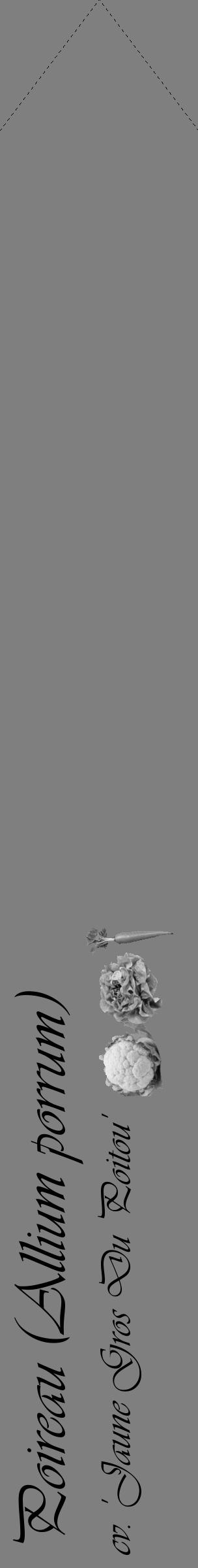Étiquette de : Allium porrum cv. 'Jaune Gros Du Poitou' - format c - style noire31_simple_simpleviv avec comestibilité simplifiée - position verticale