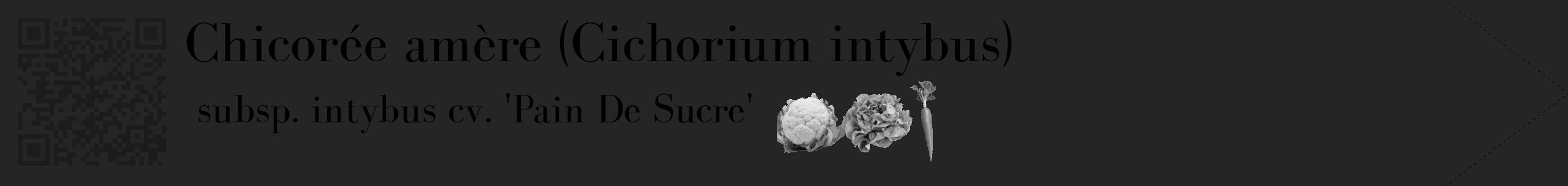 Étiquette de : Cichorium intybus subsp. intybus cv. 'Pain De Sucre' - format c - style noire47_simple_simplebod avec qrcode et comestibilité simplifiée