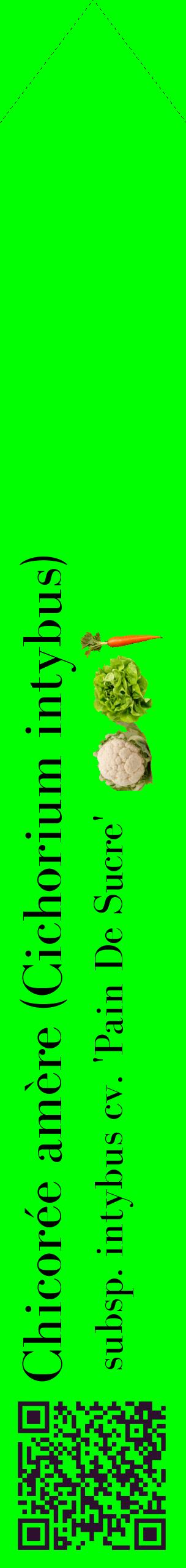 Étiquette de : Cichorium intybus subsp. intybus cv. 'Pain De Sucre' - format c - style noire16_simplebod avec qrcode et comestibilité simplifiée
