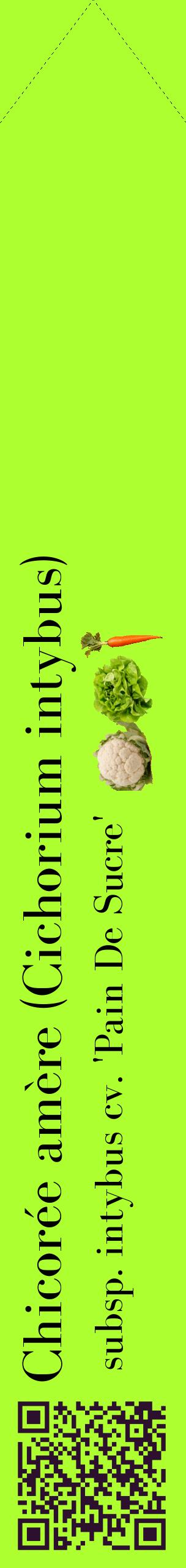 Étiquette de : Cichorium intybus subsp. intybus cv. 'Pain De Sucre' - format c - style noire17_simplebod avec qrcode et comestibilité simplifiée