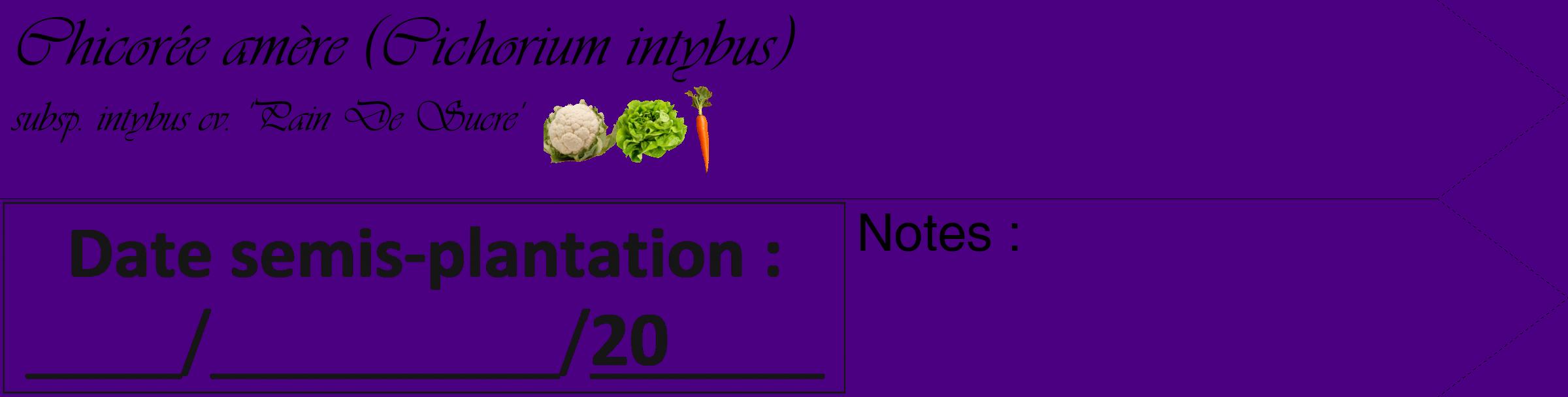 Étiquette de : Cichorium intybus subsp. intybus cv. 'Pain De Sucre' - format c - style noire47_simple_simpleviv avec comestibilité simplifiée