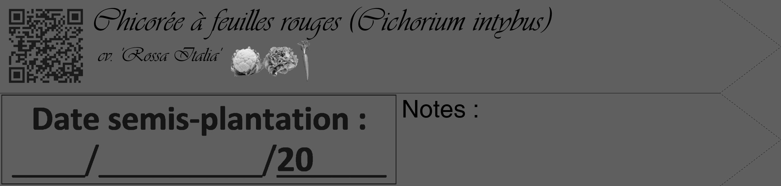 Étiquette de : Cichorium intybus cv. 'Rossa Italia' - format c - style noire10simple_simple_simpleviv avec qrcode et comestibilité simplifiée