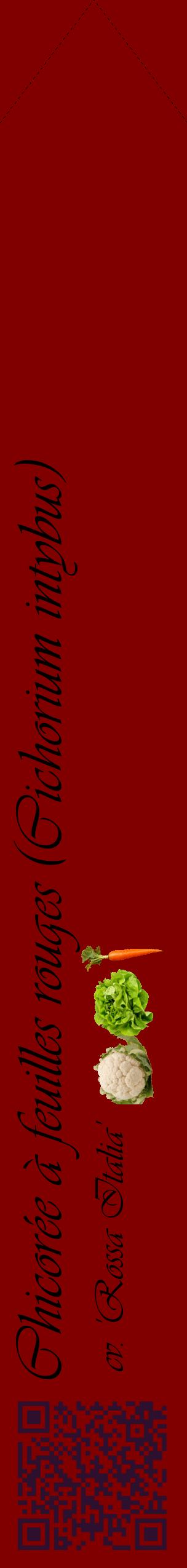 Étiquette de : Cichorium intybus cv. 'Rossa Italia' - format c - style noire29_simpleviv avec qrcode et comestibilité simplifiée