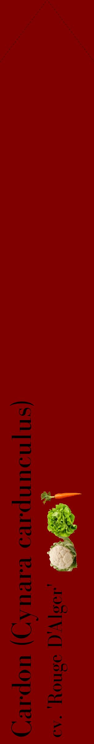 Étiquette de : Cynara cardunculus cv. 'Rouge D'Alger' - format c - style noire29_simplebod avec comestibilité simplifiée