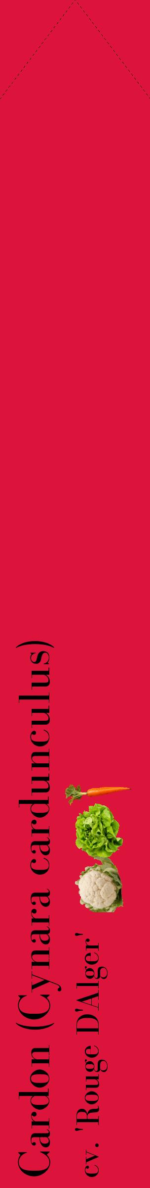 Étiquette de : Cynara cardunculus cv. 'Rouge D'Alger' - format c - style noire36_simplebod avec comestibilité simplifiée