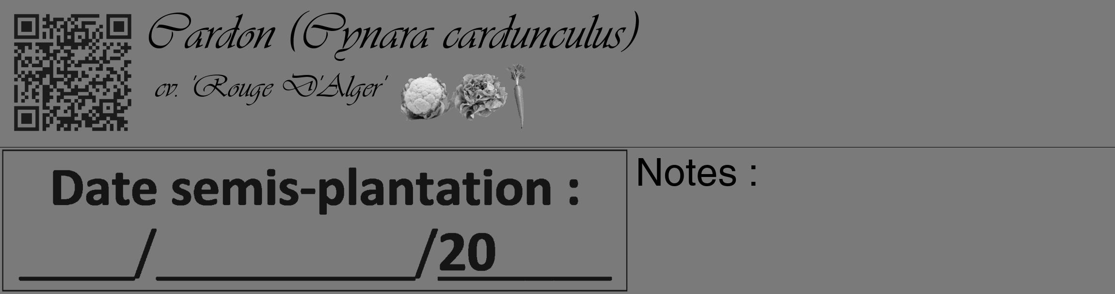 Étiquette de : Cynara cardunculus cv. 'Rouge D'Alger' - format c - style noire3_basique_basiqueviv avec qrcode et comestibilité simplifiée